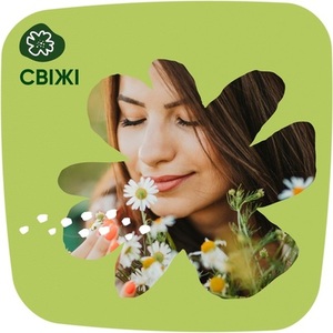Прокладки Naturella Щоденні Camomile Normal Trio №44