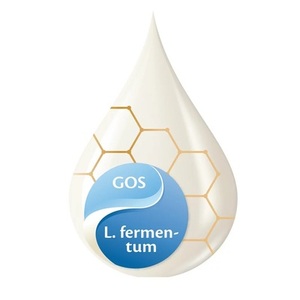 Смесь HiPP Combiotiс 2 сухая молочная 500г