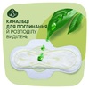 Прокладки Naturella Classic Maxi №16