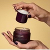 Крем Caudalie 356 Premier Cru 50мл сменный блок