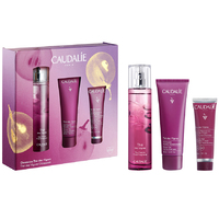 Набор Caudalie Thé des Vignes (Энерг. туал. вода 50мл, Гель д/душа 50мл, Крем д/рук 30 мл)